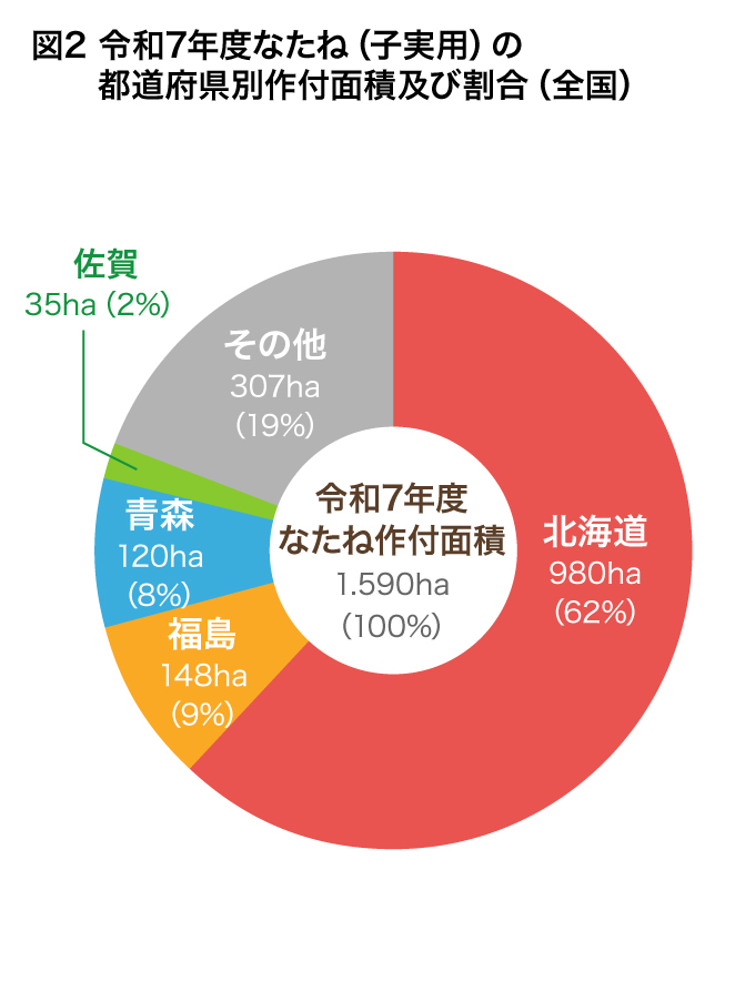 令和７年度なたね（子実用）の都道府県別作付面積及び割合（全国）のグラフ
